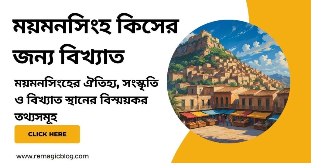 ময়মনসিংহ কিসের জন্য বিখ্যাত